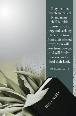 Heal Their Land Bulletin (Pkg 100) General Worship