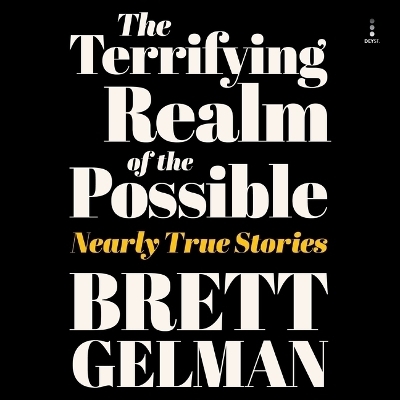 Terrifying Realm of the Possible - Brett Gelman