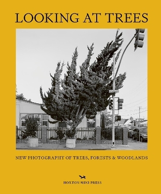 Looking At Trees - Sophie Howarth