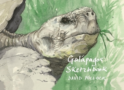 Gal&aacute;pagos Sketchbook - David Pollock