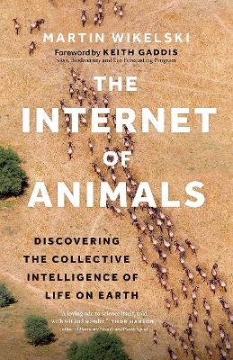 The Internet of Animals