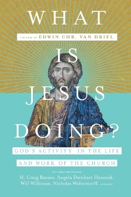 What Is Jesus Doing? &ndash; God`s Activity in the Life and Work of the Church - Edwin Chr. van Driel