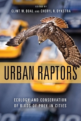 Urban Raptors - Clint Boal