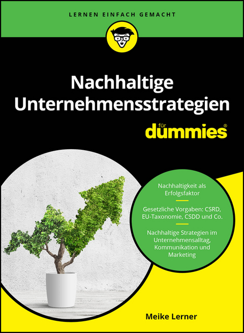 Nachhaltige Unternehmensstrategien f&uuml;r Dummies - Meike Lerner