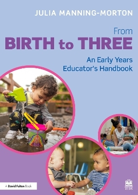 From Birth to Three: An Early Years Educator&rsquo;s Handbook - Julia Manning-Morton