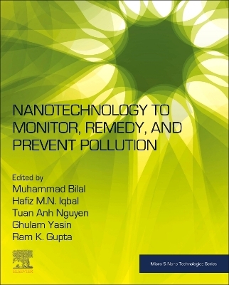 Nanotechnology to Monitor, Remedy, and Prevent Pollution - 