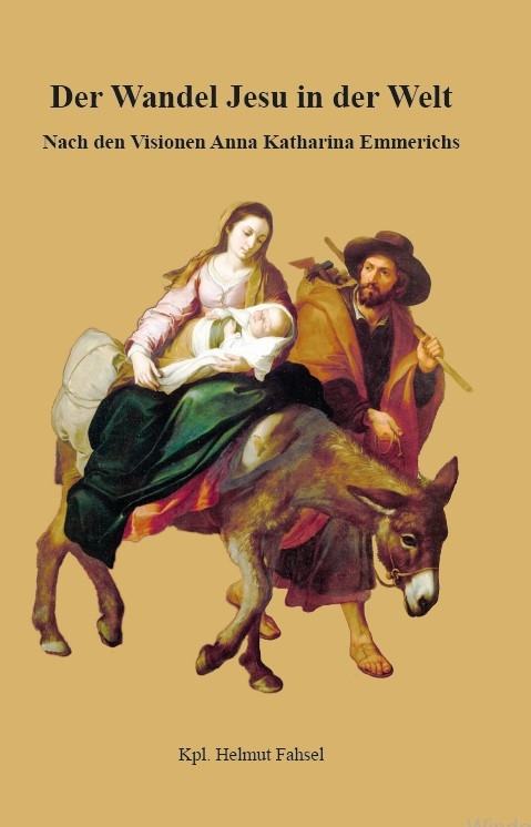 Der Wandel Jesu in der Welt - Helmut Fahsel