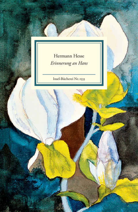 Erinnerung an Hans - Hermann Hesse