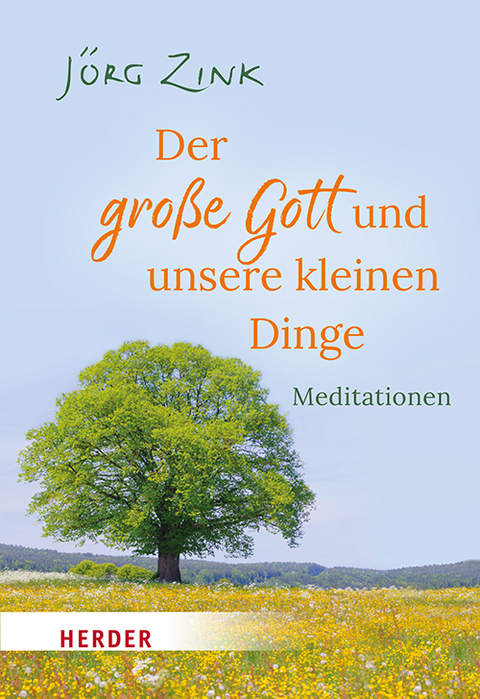 Der gro&szlig;e Gott und unsere kleinen Dinge - J&ouml;rg Zink