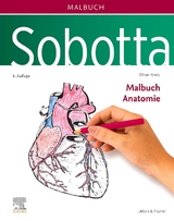 Sobotta Malbuch Anatomie - Kretz, Oliver