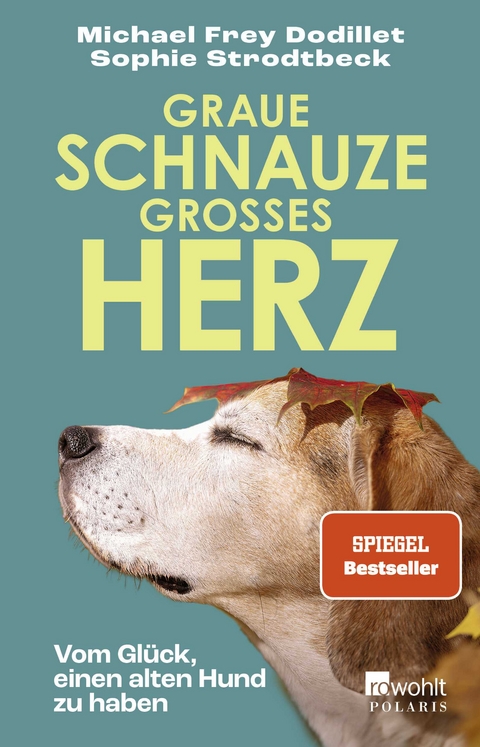 Graue Schnauze, gro&szlig;es Herz - Michael Frey Dodillet, Sophie Strodtbeck
