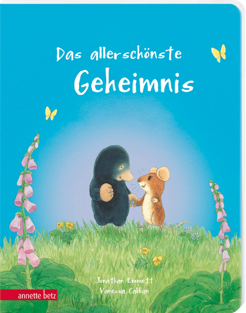 Das allersch&ouml;nste Geheimnis - Ein liebevolles Pappbilderbuch &uuml;ber Freundschaft - Jonathan Emmett