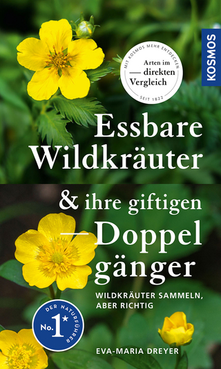 Essbare Wildkräuter & ihre giftigen Doppelgänger