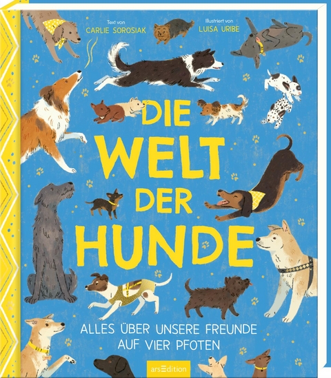 Die Welt der Hunde - Carlie Sorosiak