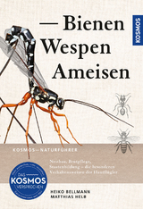 Bienen, Wespen, Ameisen - Heiko Bellmann, Matthias Helb