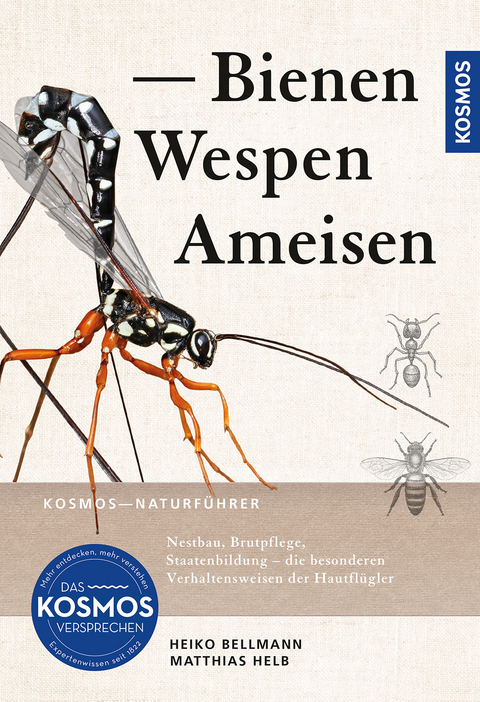 Bienen, Wespen, Ameisen - Heiko Bellmann, Matthias Helb