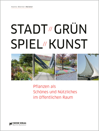 Stadt Grün Spiel Kunst