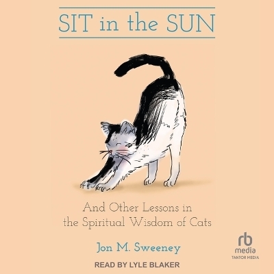 Sit in the Sun - Jon M Sweeney
