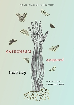 Catechesis - Lindsay Lusby