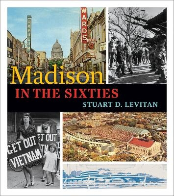 Madison in the Sixties - Stuart D Levitan