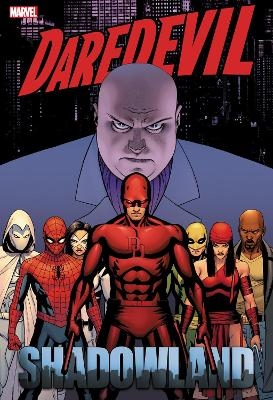 Daredevil: Shadowland Omnibus Cassaday Cover (New Printing) - Andy Diggle, Antony Johnston, Zeb Wells