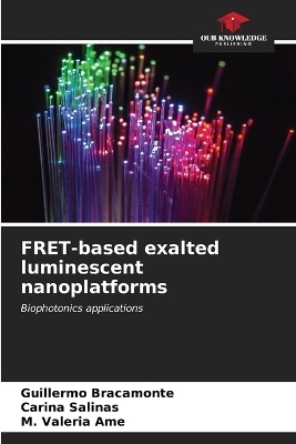FRET-based exalted luminescent nanoplatforms - Guillermo Bracamonte, Carina Salinas, M Valeria Ame