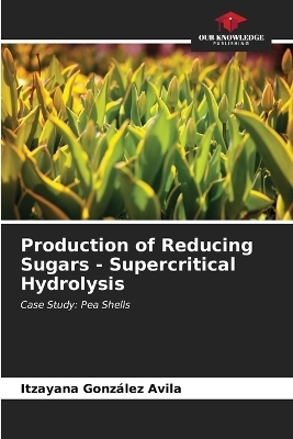 Production of Reducing Sugars - Supercritical Hydrolysis - Itzayana Gonz&aacute;lez Avila