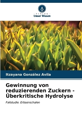 Gewinnung von reduzierenden Zuckern - &Uuml;berkritische Hydrolyse - Itzayana Gonz&aacute;lez Avila
