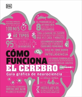 C&oacute;mo funciona el cerebro (How the Brain Works) -  Dk