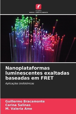 Nanoplataformas luminescentes exaltadas baseadas em FRET - Guillermo Bracamonte, Carina Salinas, M Valeria Ame