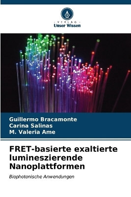 FRET-basierte exaltierte lumineszierende Nanoplattformen - Guillermo Bracamonte, Carina Salinas, M Valeria Ame