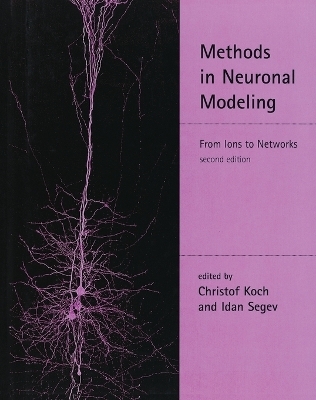 Methods in Neuronal Modeling