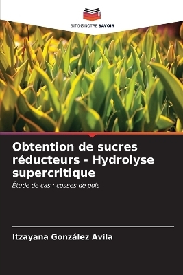 Obtention de sucres r&eacute;ducteurs - Hydrolyse supercritique - Itzayana Gonz&aacute;lez Avila