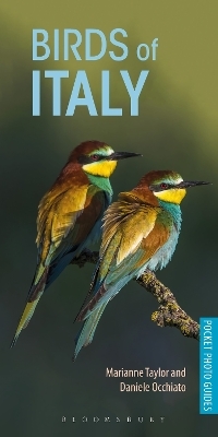 Birds of Italy - Marianne Taylor, Daniele Occhiato