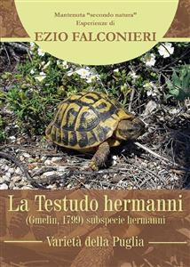 La Testudo hermanni hermanni-variet&agrave; di Puglia - Ezio Falconieri