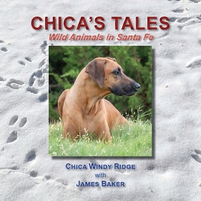 Chica's Tales, Wild Animals in Santa Fe - James Baker