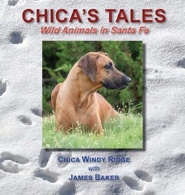 Chica's Tales - James Baker