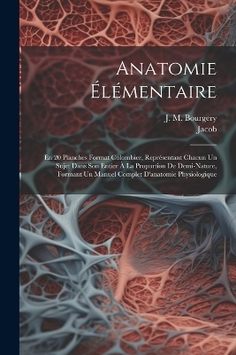 Anatomie Élémentaire