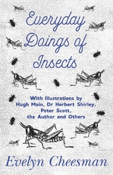 Everyday Doings of Insects - With Illustrations by Hugh Main, Dr Herbert Shirley, Peter Scott, the Author and Others - Evelyn Cheesman