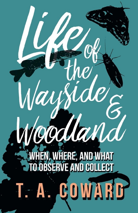 Life of the Wayside and Woodland - T. A. Coward