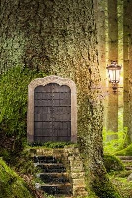 Forest Door, Discreet Internet Password Logbook, Large Print -  Amatae