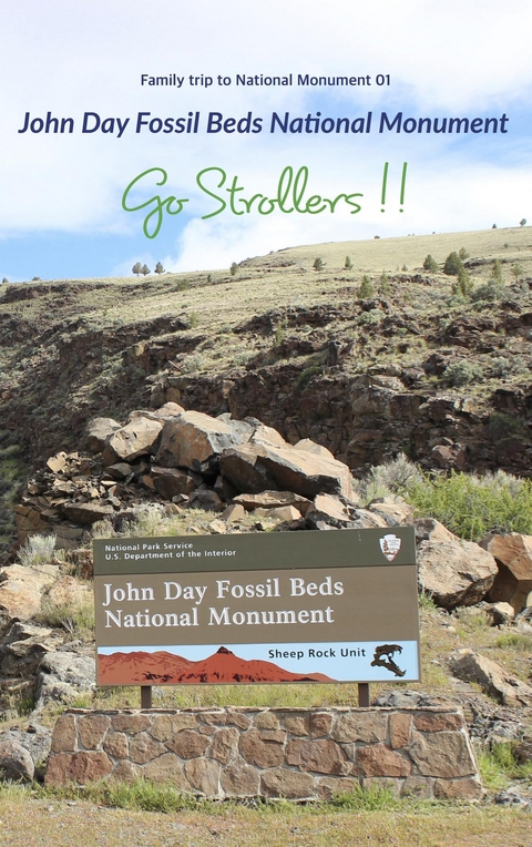 Go Strollers !! -  Kjmaria