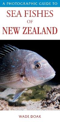 A Photographic Guide to Seafish of New Zealand - Doak Wade