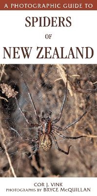 A Photographic Guide to Spiders of New Zealand - Vink Cor