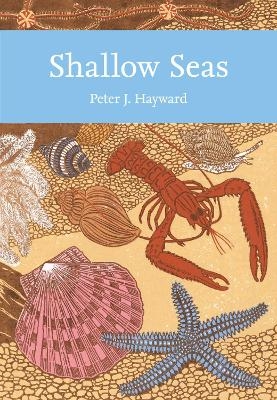 Shallow Seas - Peter Hayward