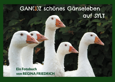 GAN(S)Z schönes Gänseleben auf SYLT - Regina Friedrich