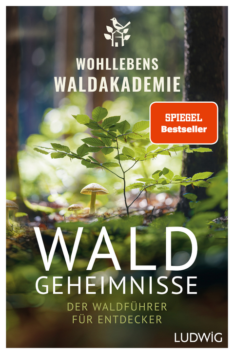 Waldgeheimnisse - 