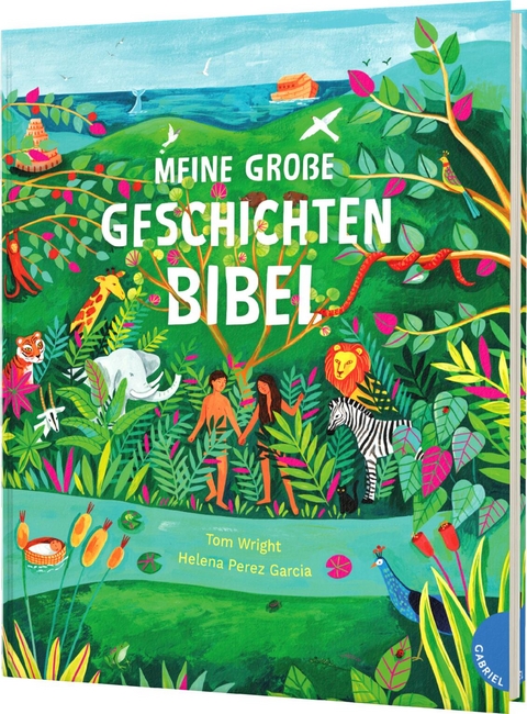Meine gro&szlig;e Geschichten-Bibel - Tom Wright