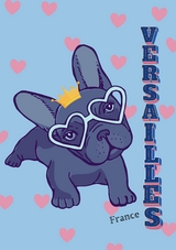 Hund Notizbuch Franz&ouml;sische Bulldogge Versailles France Frankreich mit 55 Zitaten lustigen Lebensweisheiten Journal, Merkzettel, Tagebuch, Notizheft, Haushaltsbuch - Notepad Fabrik