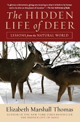 Hidden Life of Deer - Elizabeth Marshall Thomas